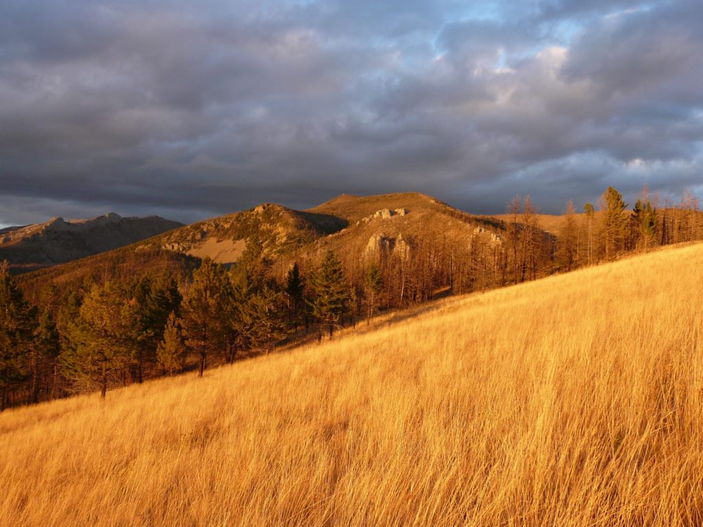 Montana mountains in fall-Montana Whiskey Co.