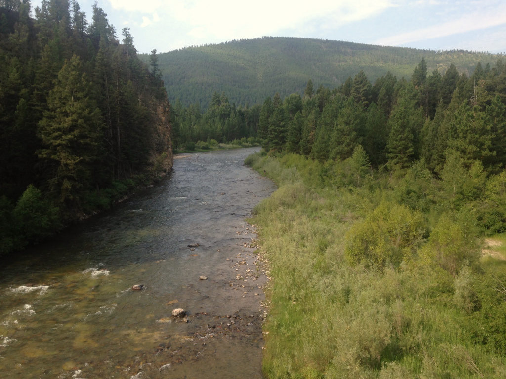 Fishing Montana's Blackfoot River