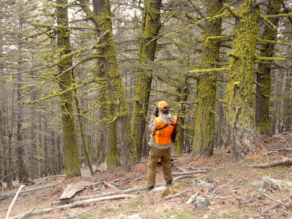 Rifle hunting the timber. Montana Whiskey Co.