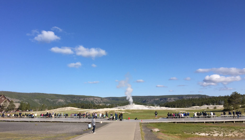 Old Faithful Geyser-Montana Whiskey Company